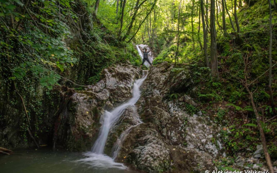 Priroda voli, čuva i leči bolje nego bilo koja medicina