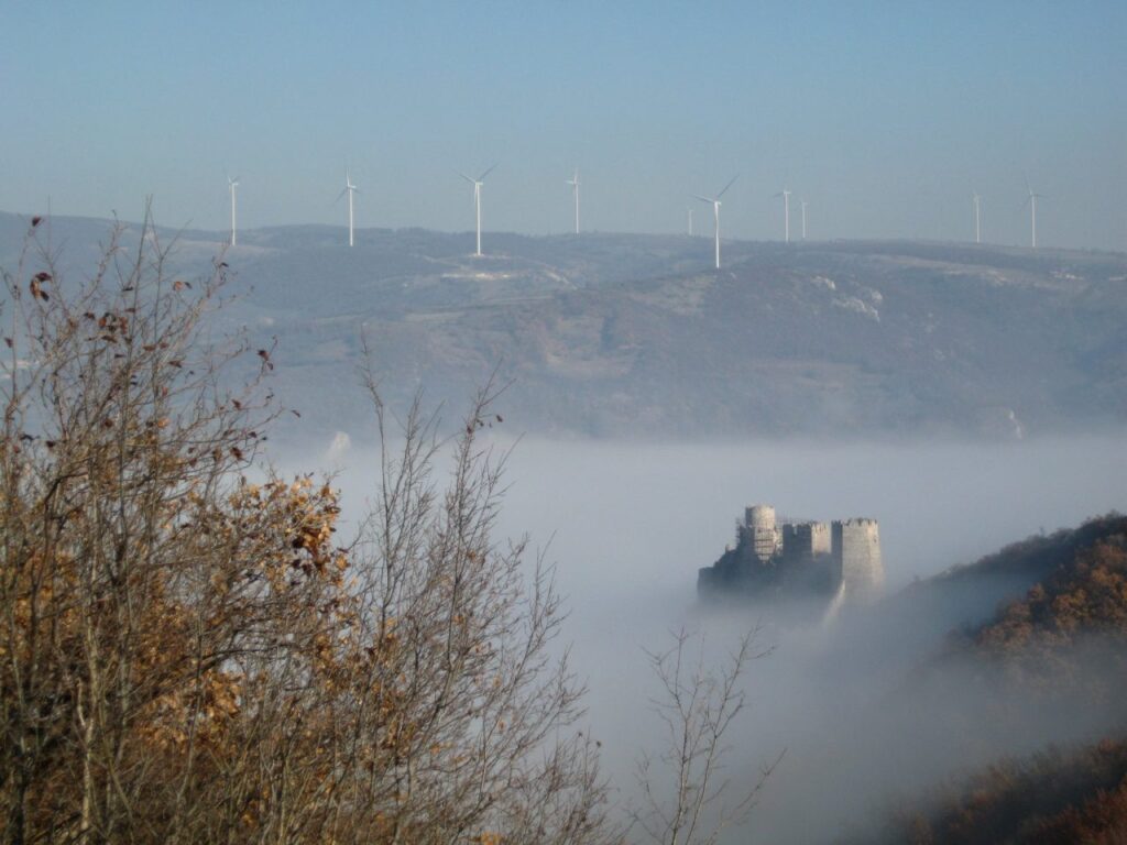 golubac 