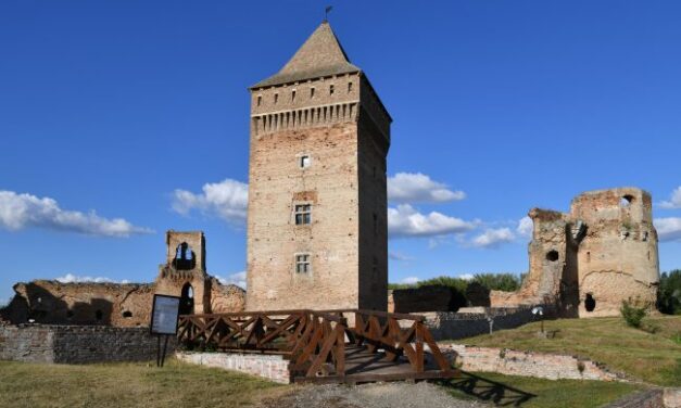 Tvrđava Bač, svetionik panonske žitnice